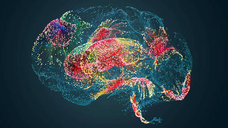 Le cerveau a-t-il un sexe ? Quand l’IA permet de résoudre un mystère scientifique | Science & Transhumanisme | Scoop.it
