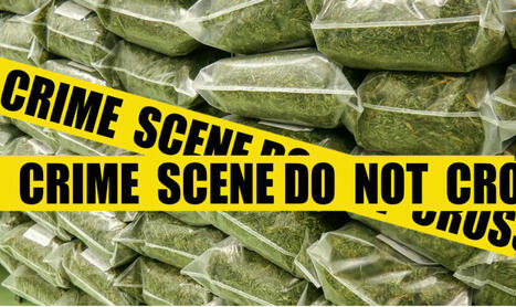 The Great 4/20 Heist - 600 Pounds of Confiscated Weed Stolen for Colorado State Police Station | Cannabis.Net | Scoop.it
