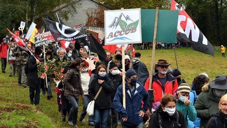 Lannemezan : 1500 manifestants contre le projet de méga scierie | Vallées d'Aure & Louron - Pyrénées | Scoop.it