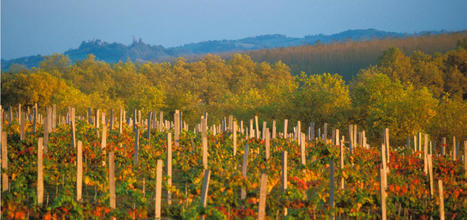 Le vignoble du Sud-Ouest inscrit au titre de la route culturelle européenne de la vigne et du vin | Thématique Gastronomie et Oeno | Scoop.it