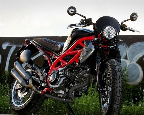 Suzuki Gladius Scrambler - Grease n Gasoline | Cars | Motorcycles | Gadgets | Scoop.it