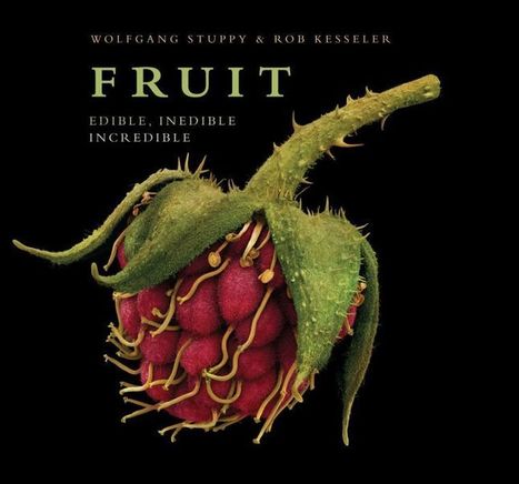 15 gift-worthy coffee table books - Kankakee Daily Journal | Modernist Cuisine | Scoop.it