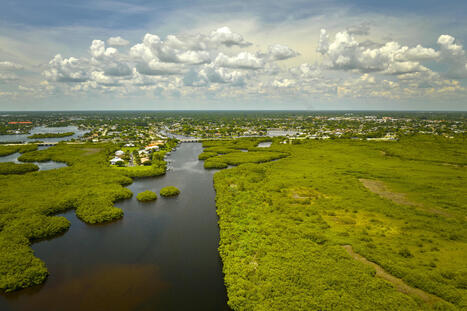 Everglades 'Drying Up' as Drought Plagues Florida - Newsweek | Operation Deimos | Scoop.it