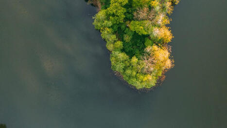 New habits that can lead us to a regenerative world | Innovators magazine | Biomimicry 3.8 | Scoop.it