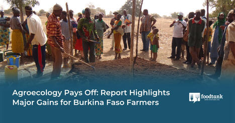 AFRICA : Agroecology Pays Off: Report Highlights Major Gains for Burkina Faso Farmers&nbsp; | CIHEAM Press Review | Scoop.it