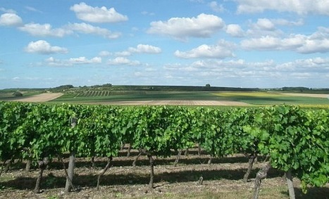 GRANDE REGION:  Agriculture, forêt-bois : l'union fait la force | Atouts pour s’implanter et se développer en Nouvelle-Aquitaine | Scoop.it