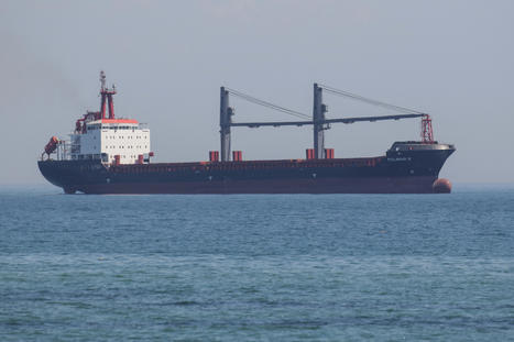Two more ships with grain depart from Ukraine, Turkey says - Reuters | Agriculture et Alimentation Durable Méditerranéenne | Scoop.it