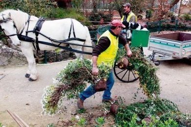 Oc&eacute;an, star du parc | Cheval et Nature | Scoop.it