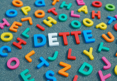 L'ECHO DEMETER : Moody's s'inquiète de l'instabilité politique face à la dette: le volet dépenses du budget 2026 sera un test | Revue de presse - Club DEMETER | Scoop.it