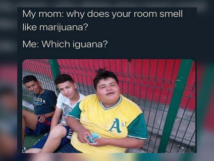 25 Hilarious Stoner Memes That Will Make Everyo...