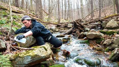 Blue Hole Creek has 'startling' amounts of lead. What to know | Industry 411 - Waste Management | Scoop.it
