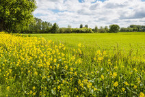 La valeur de la nature - Commission européenne - CORDIS | Biodiversité | Scoop.it