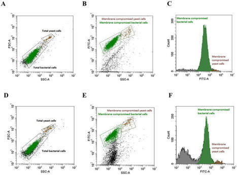 Microbial Viability Testing After Storage Using Various Preservation