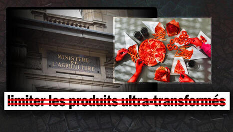 Malgré les risques, le gouvernement retire la limitation des produits ultra-transformés de sa stratégie alimentaire | Planète DDurable | Scoop.it