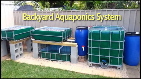 Backyard Aquaponics Systems Easy Design And L
