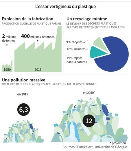 Depuis 1950, l’homme a fabriqué 8,3 milliards de tonnes de plastiques | Toxique, soyons vigilant ! | Scoop.it