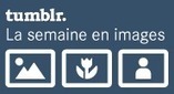 Toute l'agro-écologie en un clic - Ministère de l'agriculture, de l'agroalimentaire et de la forêt | Paysage - Agriculture | Scoop.it