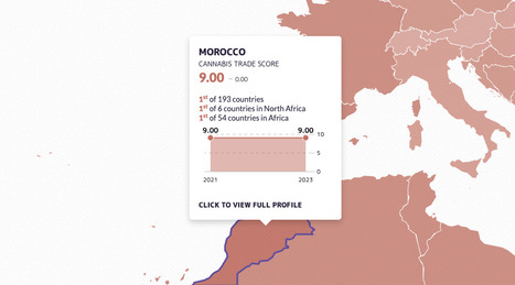 Morocco's cannabis policy aims high, but faces resistance in its bid to formalize a deeply rooted informal economy | FATF | Scoop.it