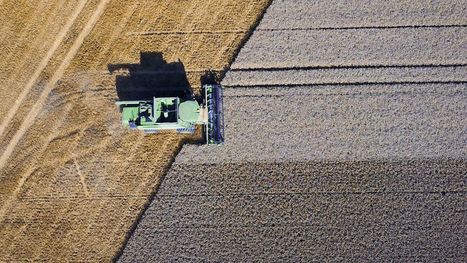 PAC : les crédits européens pour les agriculteurs français préservés | Actualité Bétail | Scoop.it