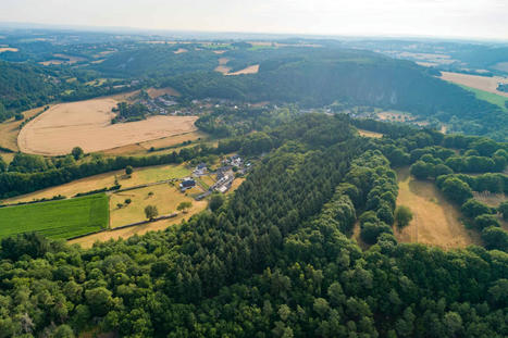 La place et le rôle de l’arbre dans notre société - CESER Pays de la Loire | Paysage - Agriculture | Scoop.it