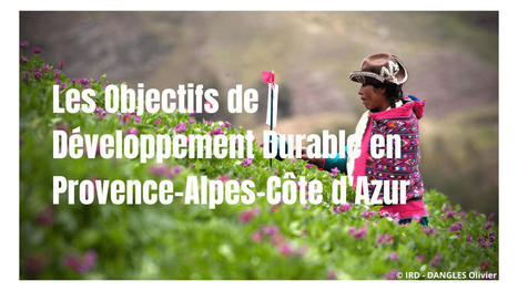 🎬 PROJECTION "FEMMES des Terres" | Lancement 20&egrave;me &eacute;dition FESTIVAL ALIMENTERRE&nbsp; | CIHEAM Press Review | Scoop.it
