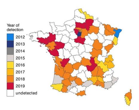 Expansion de la punaise diabolique en France : elle a conquis plus de 50% des départements métropolitains | EntomoNews | Scoop.it