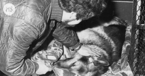 HS 50 vuotta sitten 27.12.2025 | HS.fi | 1Uutiset - Lukemisen t&auml;hden | Scoop.it