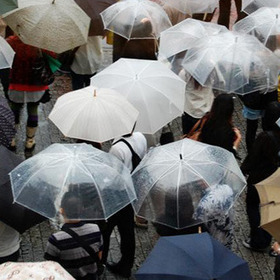 Duncan Watts - Social contagion: What do we really know? | Papers | Scoop.it