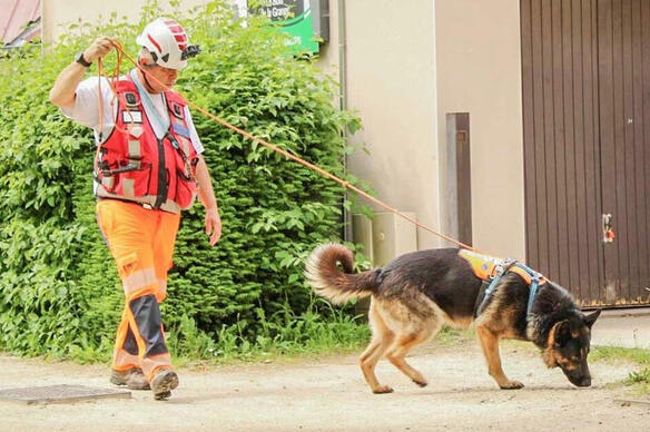 Des chiens pour repérer les fuites et faire économiser des millions de litres d’eau aux communes, ça fonctionne ?