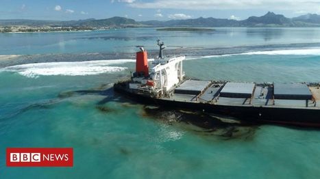 Why the Mauritius oil spill is so serious | Coastal Restoration | Scoop.it