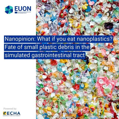 Et si vous mangiez des nanoplastiques ? Le devenir des petits débris de plastiques dans le tractus gastro-intestinal | EUON | Prévention du risque chimique | Scoop.it