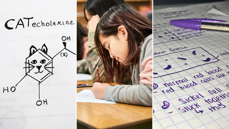 How—and Why—to Introduce Visual Note-Taking to Your Students - Edutopia | iPads, MakerEd and More  in Education | Scoop.it