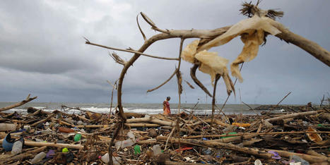 La pollution plastique a atteint « toutes les parties des océans », alerte le WWF | Biodiversité | Scoop.it
