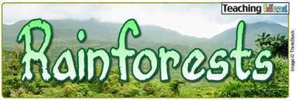 Rainforests - Teaching Ideas and Resources | Rainforest CLASSROOM | Scoop.it