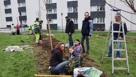 Dinan. Cit&eacute;-Demain r&ecirc;ve de fleurs et de vergers | L'actualit&eacute; des quartiers politique de la ville de Bretagne et Pays de la Loire | Scoop.it