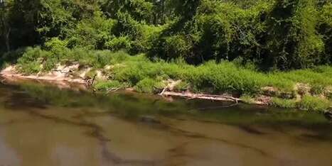 State officials downplay arsenic found in Tangipahoa River seafood after Smitty’s Supply explosion | Industry 411 - Waste Management | Scoop.it