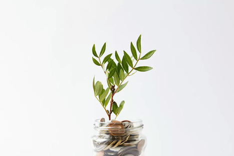 Comment seront répartis les 2,5 millions d'euros du Fonds vert en 2024 ? - Construction 21 | Pour innover en agriculture | Scoop.it