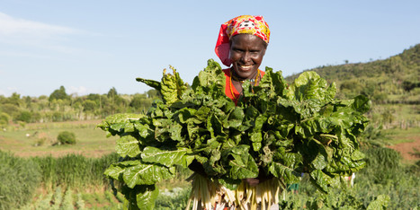 Africa's booming population needs agricultural innovation | Food & Nutrition Security in East Africa | Scoop.it