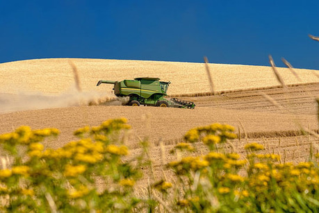 L'accaparement de terres et la concentration foncière menacent-elles l'agriculture? | Questions de développement ... | Scoop.it