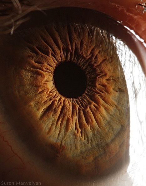 The Science Behind These Amazing Photographs of the Human Eye | Art, a way to feel! | Scoop.it