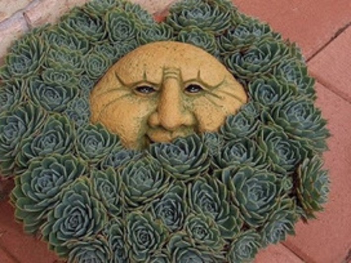 Hens and chicks create whimsy in the garden | Walking On Sunshine | Scoop.it