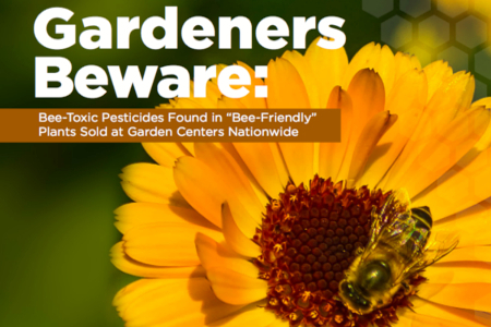 Plants Sold To Consumers As 'Bee Friendly' Pretreated With Deadly Pesticides | BIODIVERSITY IS LIFE  – | Scoop.it