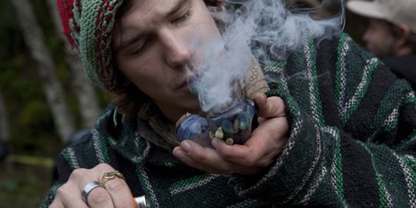 Denver County Fair To Offer Marijuana Contests | Beckley News : Cannabis - Marijuana | Scoop.it