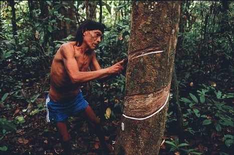 Present-day Amazonians share an unexpected genetic link with Asian islanders, hinting at unknown migration track | Amazing Science | Scoop.it