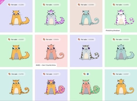 Les chatons virtuels à l'assaut de la blockchain | BlockChain | Scoop.it