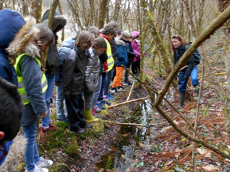 Toujours plus d'écoles engagées dans le réseau d'aires éducatives | Biodiversité | Scoop.it