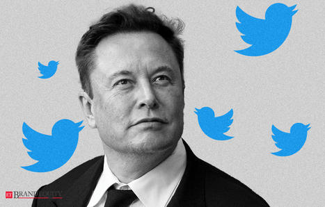 Elon Musk: Musk says inactive Twitter accounts being purged, Marketing & Advertising News, ET BrandEquity | The Social Media Times | Scoop.it