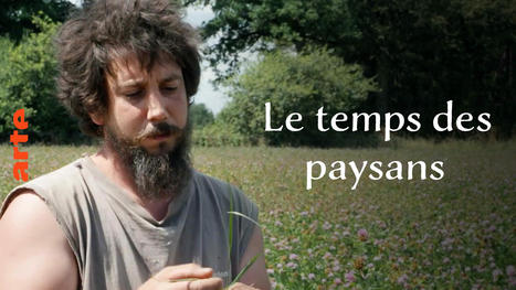 Le temps des paysans - Histoire - video | Veille Centre de Ressources | Scoop.it