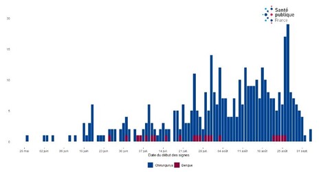 Chikungunya : des foyers plus nombreux et de plus en plus importants en France métropolitaine | EntomoNews | Scoop.it