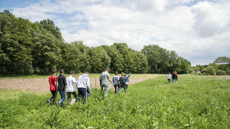 Tout savoir sur la loi d'orientation pour la souveraineté alimentaire et le renouvellement des générations en agriculture | Economie de l'Elevage | Scoop.it